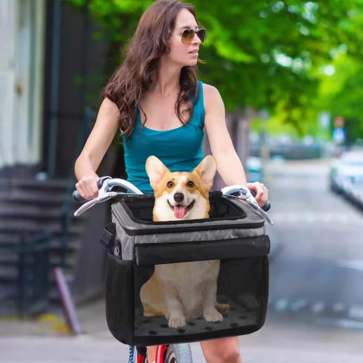Smart front pet basket in use