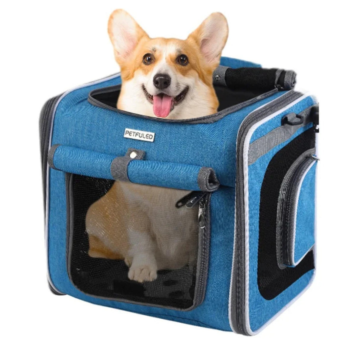 Smart front pet basket in blue with a dog inside