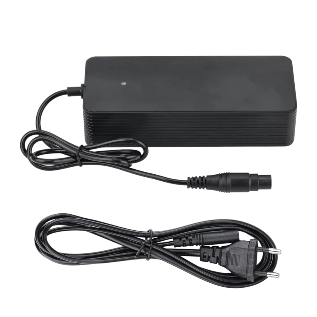 Snabbladdare Xiaomi 4 Pro Plus/Max + Ninebot ZT3 - Tillbehör - Wheelyshop