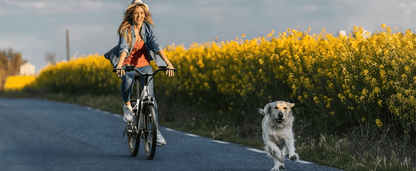 VARUN CITY CRUISER - Elcykel - Wheelyshop