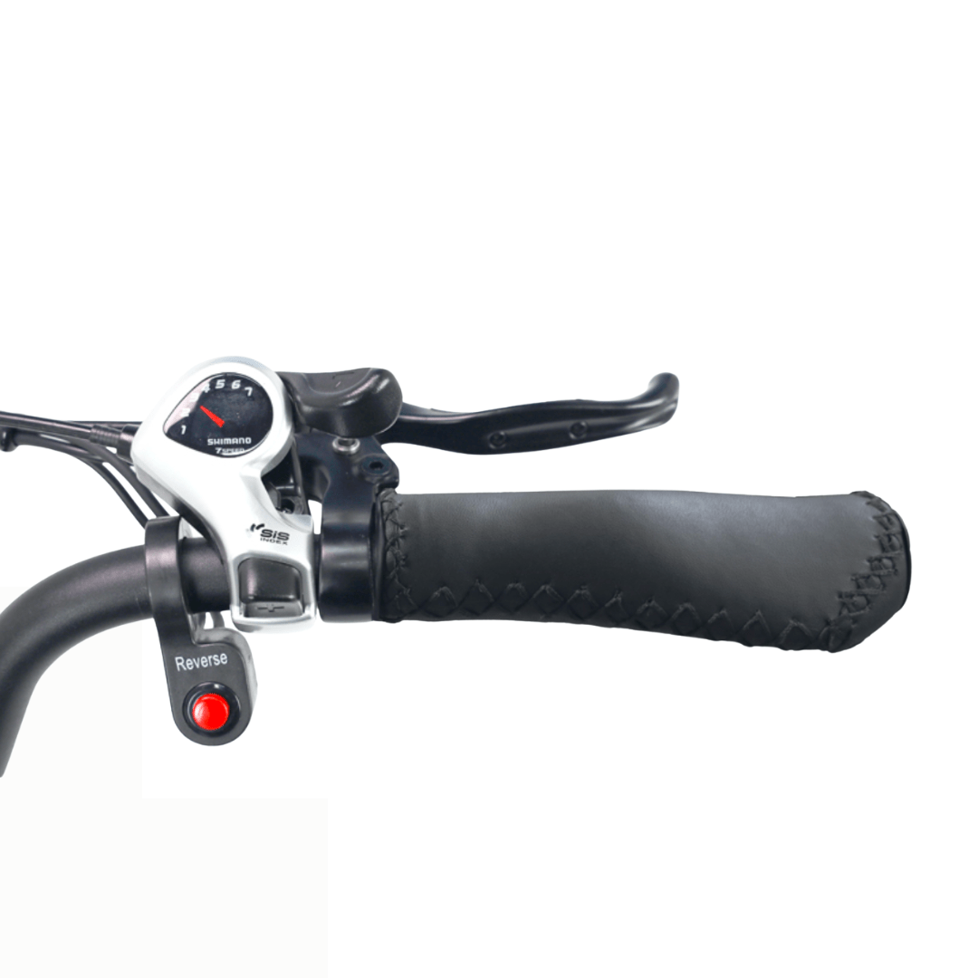 Hidoes ET1 handlebar grip and controls