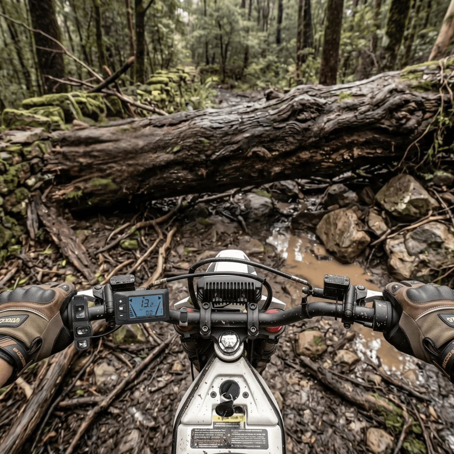 VIPCOO H2 - Electric cross - Wheelyshop