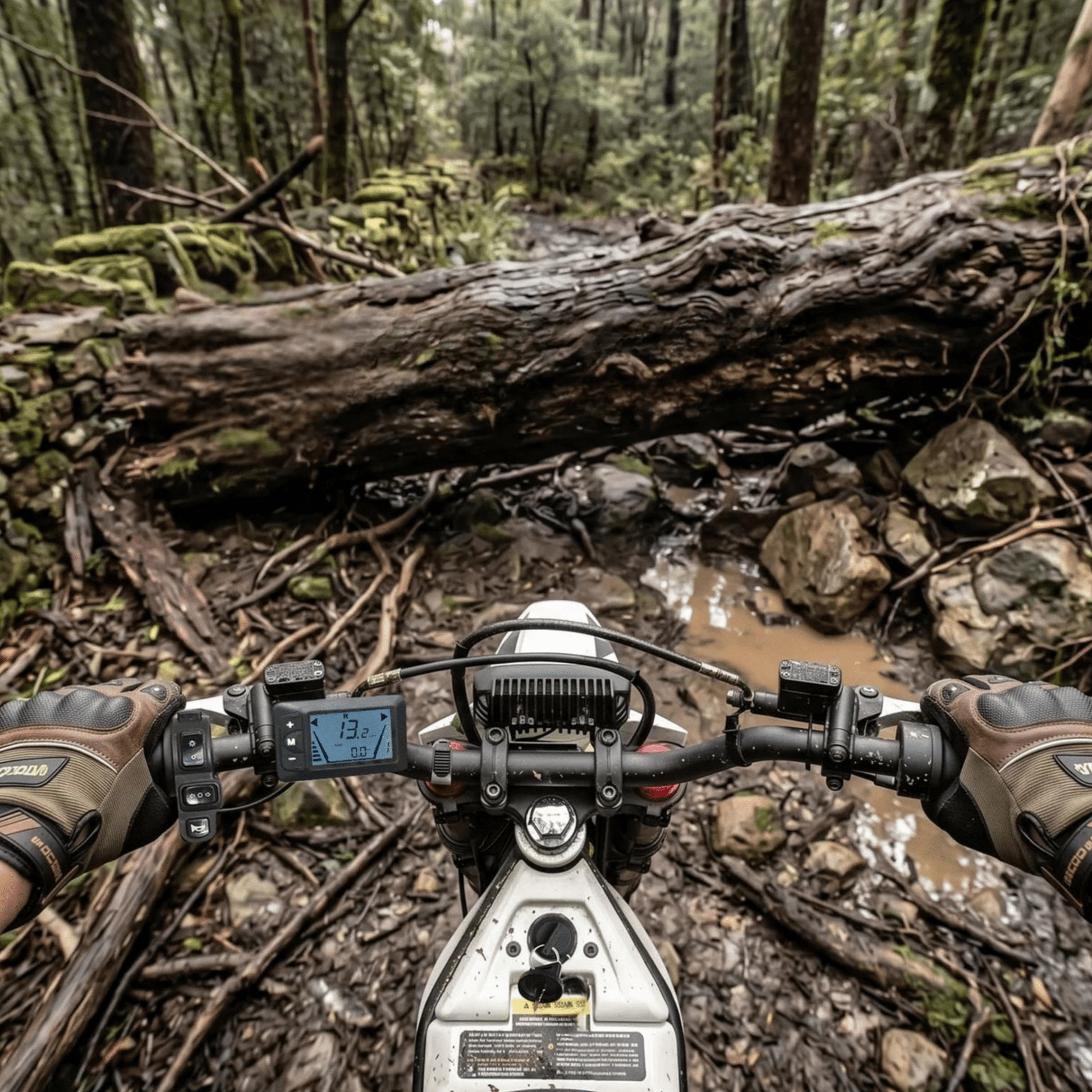 VIPCOO H2 - Electric cross - Wheelyshop