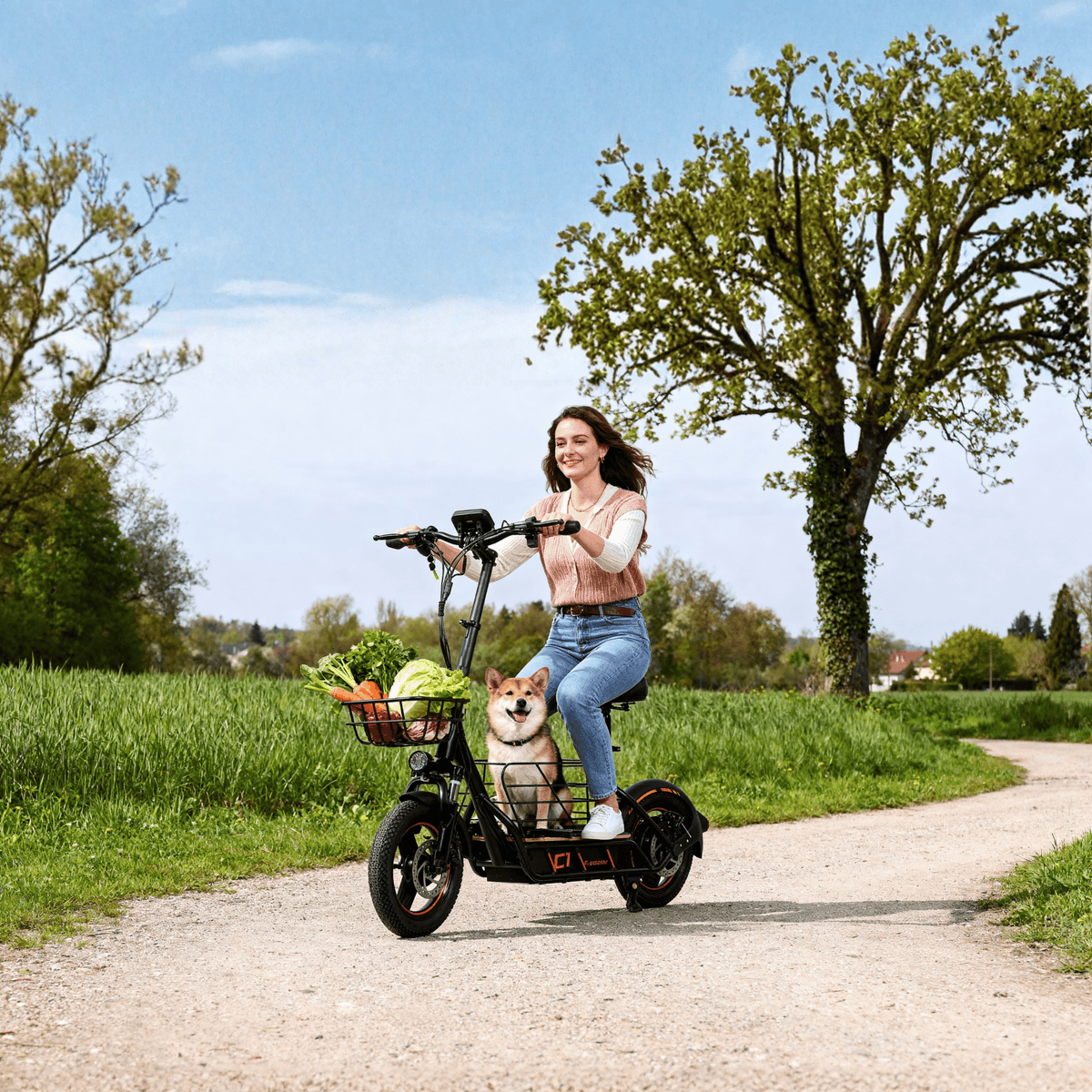 Woman riding the Wheely H14 electric scooter in a park