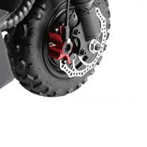 Wheely X10 disc brake