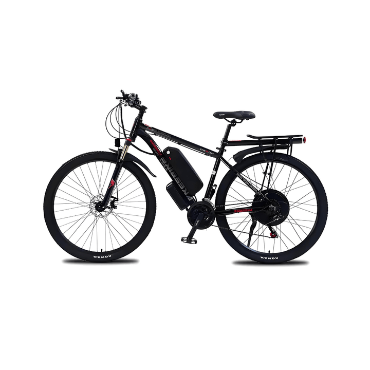 Wheely XAL270 e-bike seen from the side in black
