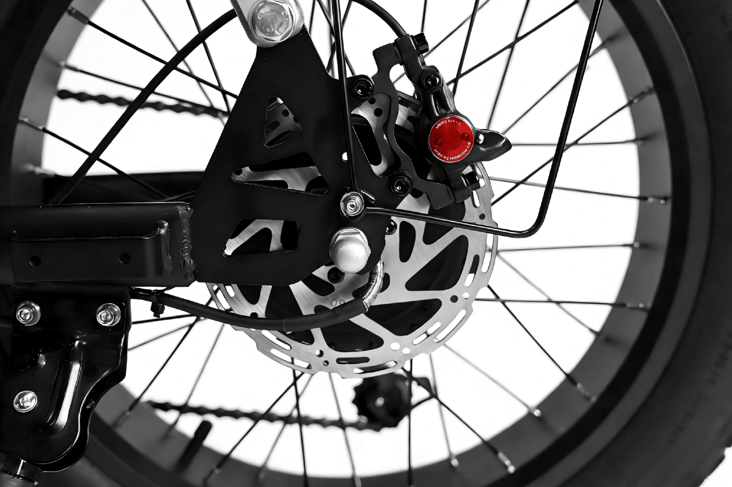 YANGOR H19 (36V 10Ah) - Electric bike - Wheelyshop