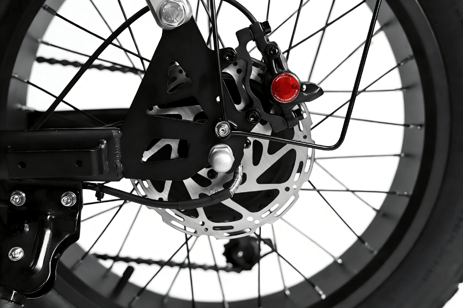 YANGOR H19 (36V 10Ah) - Electric bike - Wheelyshop
