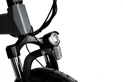 YANGOR H19 (36V 10Ah) - Electric bike - Wheelyshop