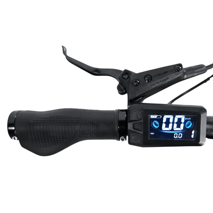 YANGOR H700 (36V 10.4Ah) - Electric bike - Wheelyshop