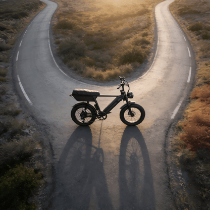 YANGOR Y20 Plus - Elcykel - Wheelyshop