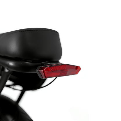 YANGOR Y20 Plus - Elcykel - Wheelyshop