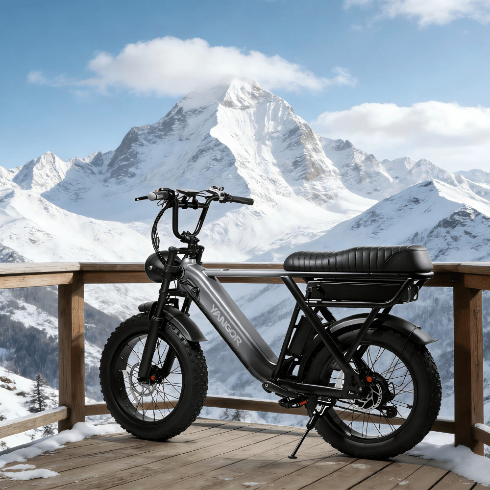 YANGOR Y20 Pro - Electric bike - Wheelyshop